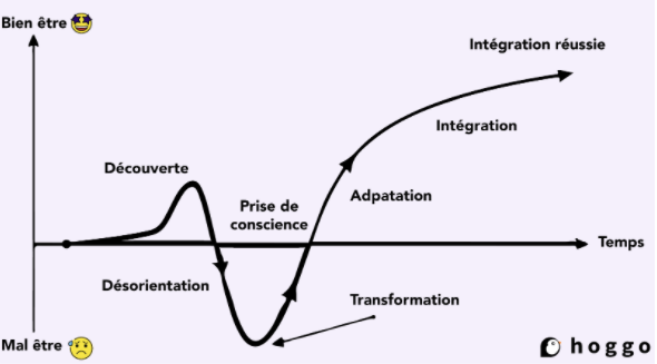 Phases PVT